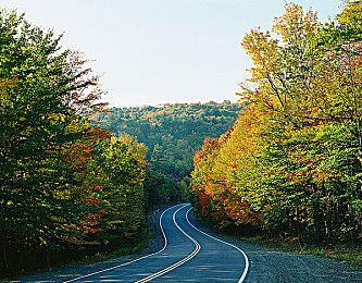 《无主之地4》发售日确定后 《GTA6》要在11月？